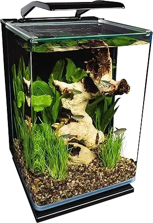 Marineland Portrait Glass LED Aquarium Kit, 5 Gallons, Hidden Filtration, Black